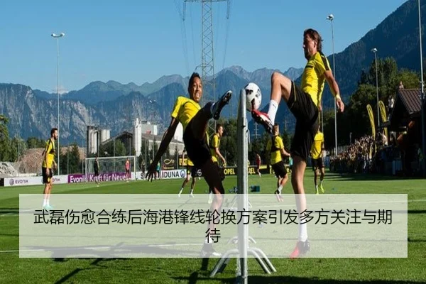 武磊伤愈合练后海港锋线轮换方案引发多方关注与期待